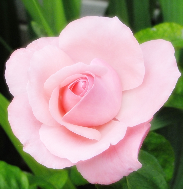 Por un beso&nbsp;(2005)