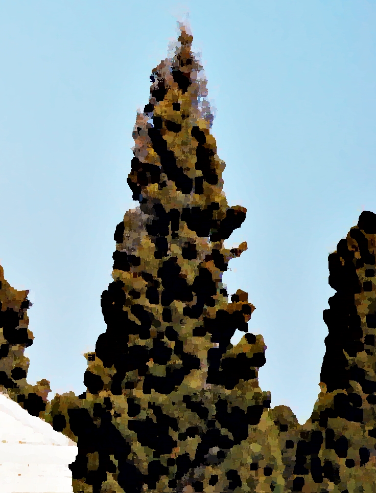 Los cipreses creen en&nbsp;Dios