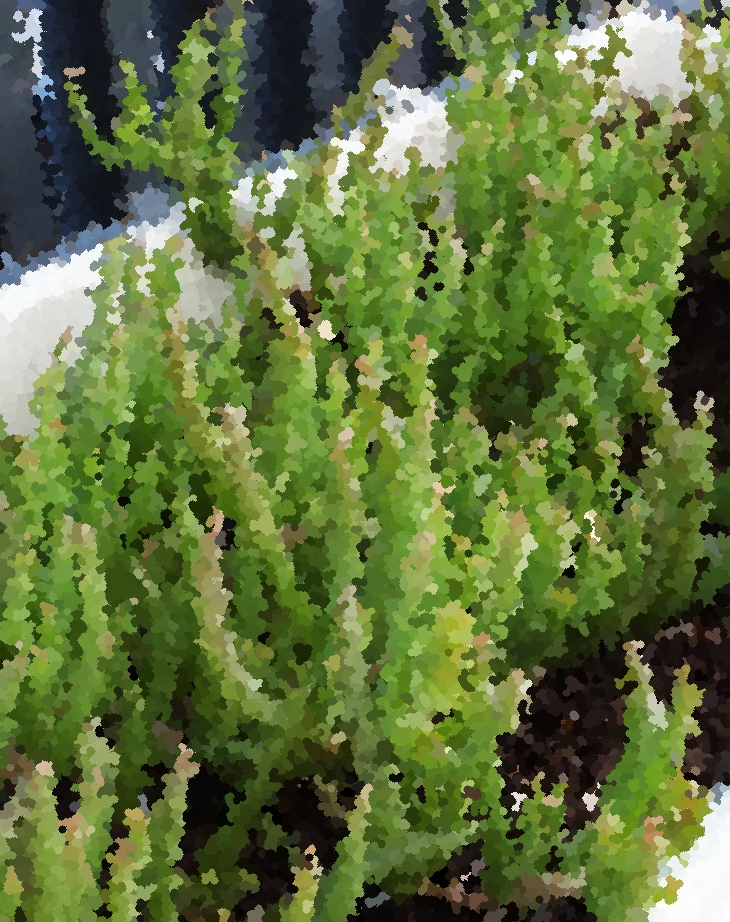 Claudio Bombarnac (1893)