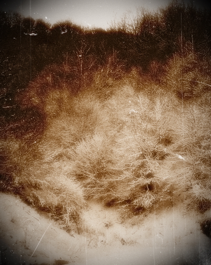 Una visita navideña a Romney Marshes&nbsp;(2005)