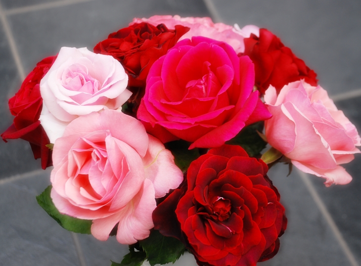 Bridgerton: felices para siempre&nbsp;(2013)