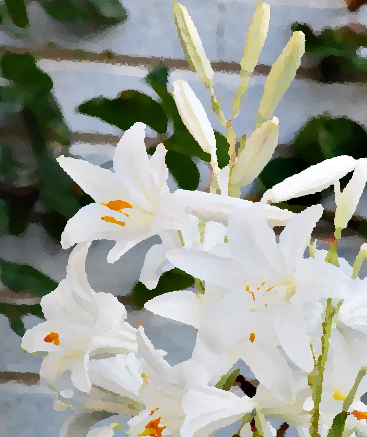 Claudina en Santa Clara&nbsp;(1944)