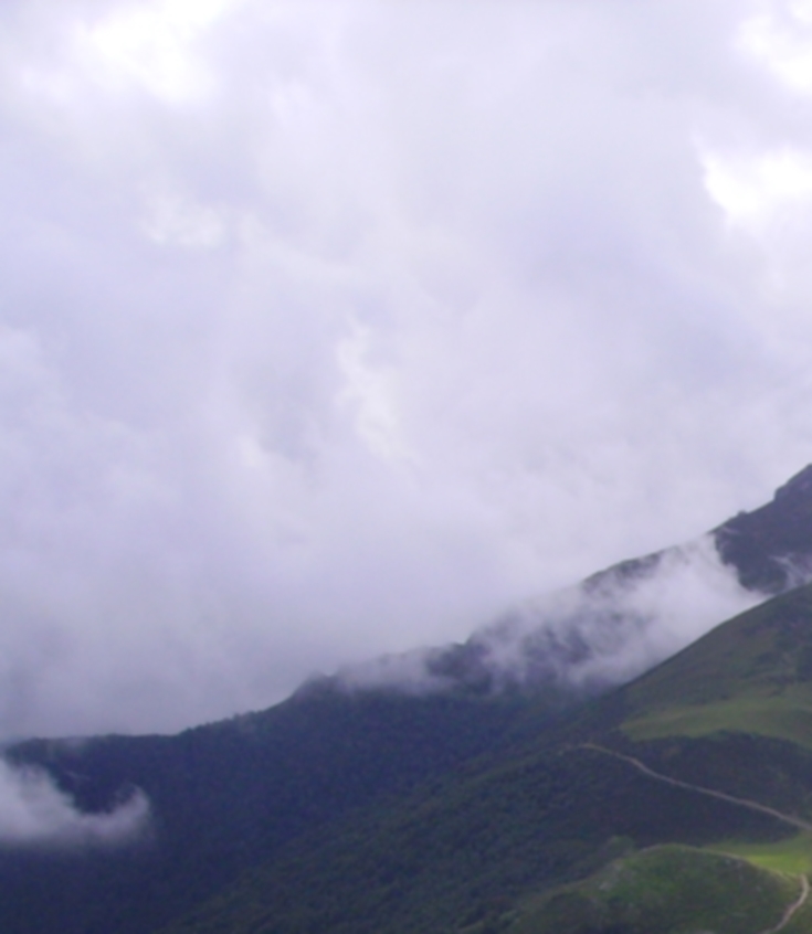 La niebla y la doncella&nbsp;(2002)