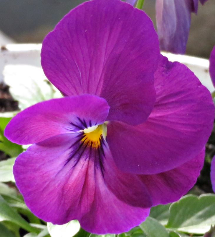 Un momento de&nbsp;reflexión