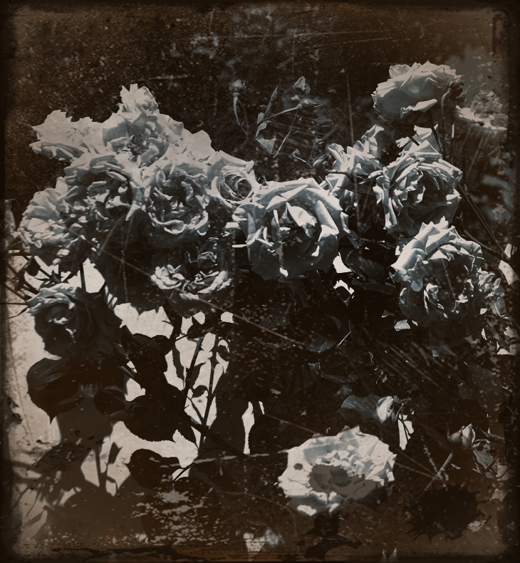 Los escándalos de Half Moon Street&nbsp;(2000)