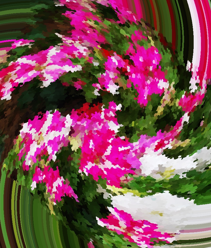 Stephen Vizinczey (1933)