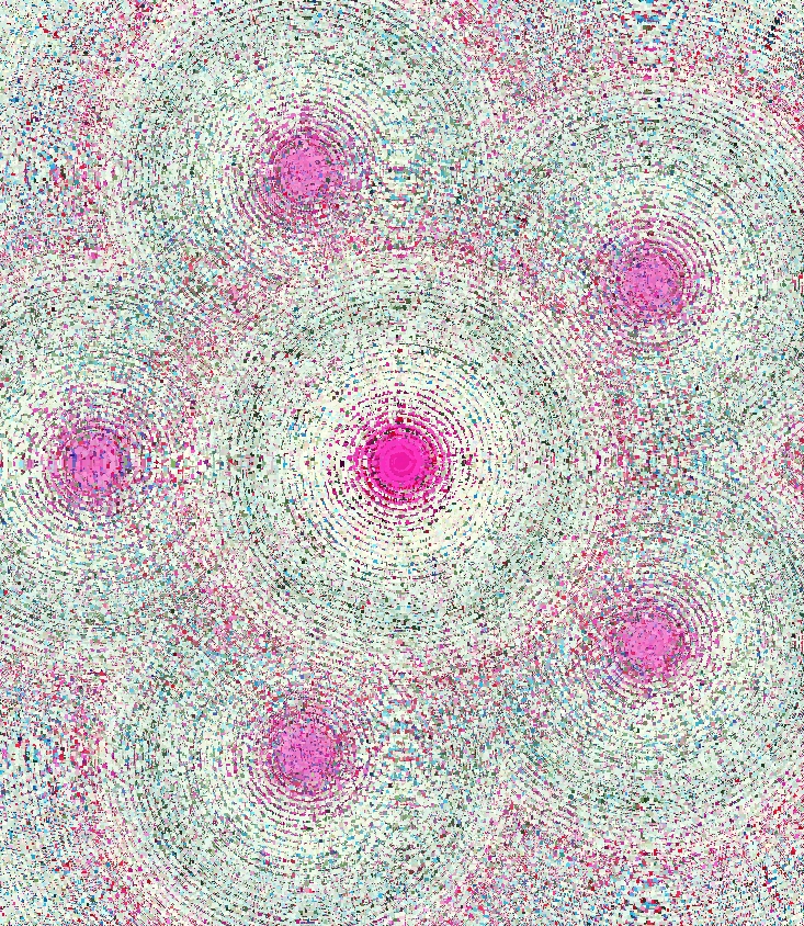 Ann M. Martin&nbsp;(1955)