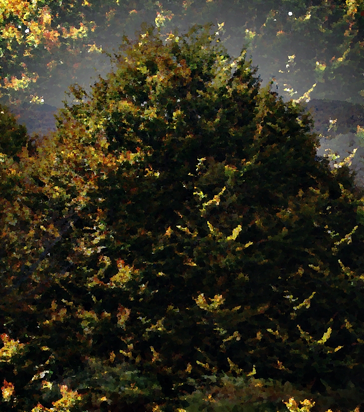 El árbol lejano&nbsp;(1960)