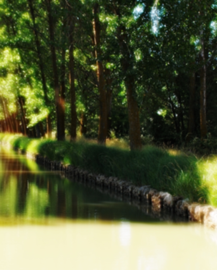 Por el bien de Elena&nbsp;(1992)