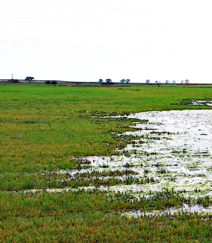Charcos en el&nbsp;camino