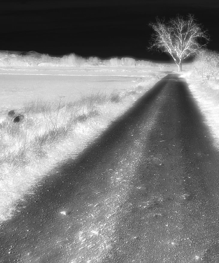 Una cierta justicia&nbsp;(1997)