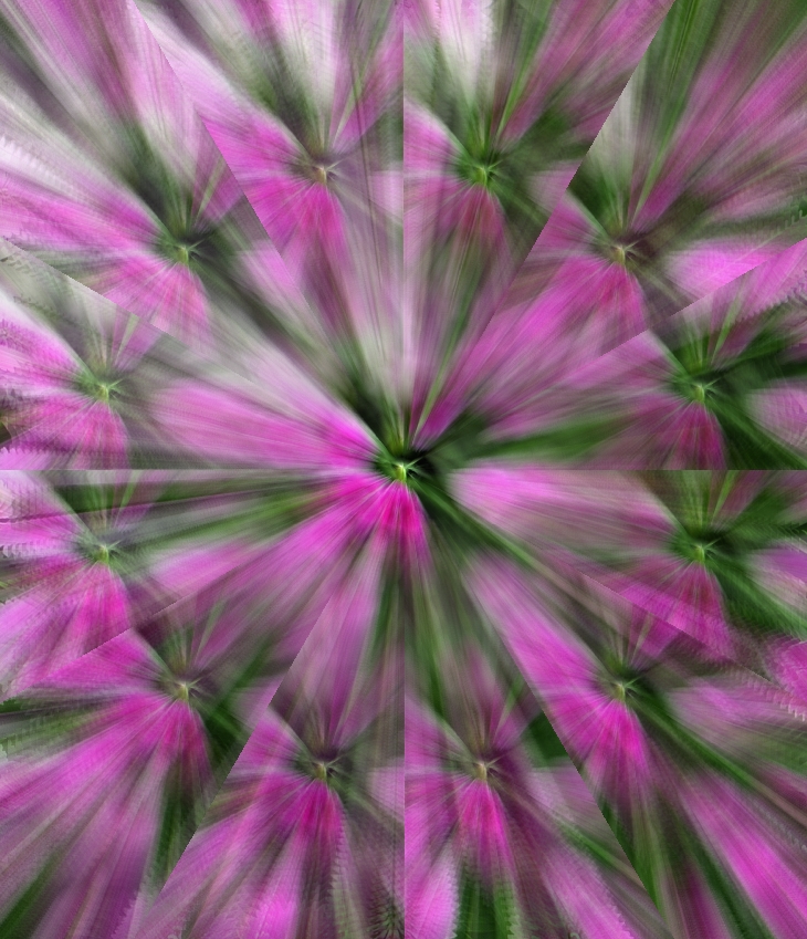 Laura Lee Hope&nbsp;(1904)