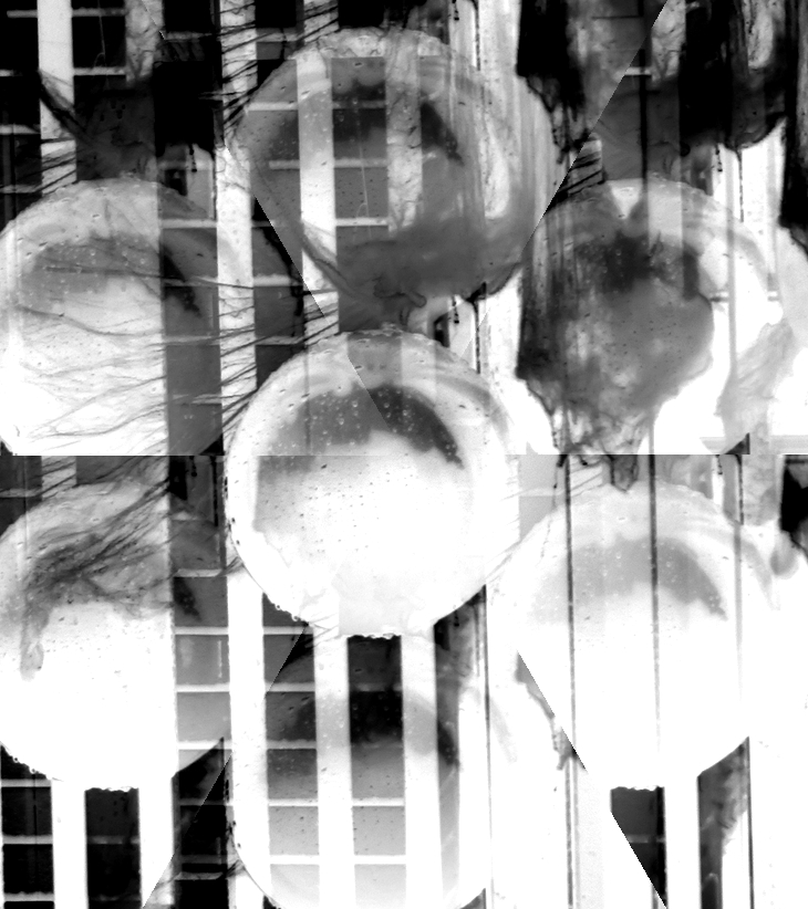 Tonto, muerto, bastardo e invisible&nbsp;(1995)