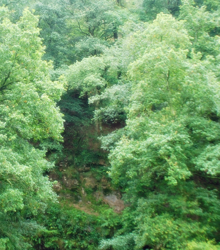 El peso de la culpa&nbsp;(1999)