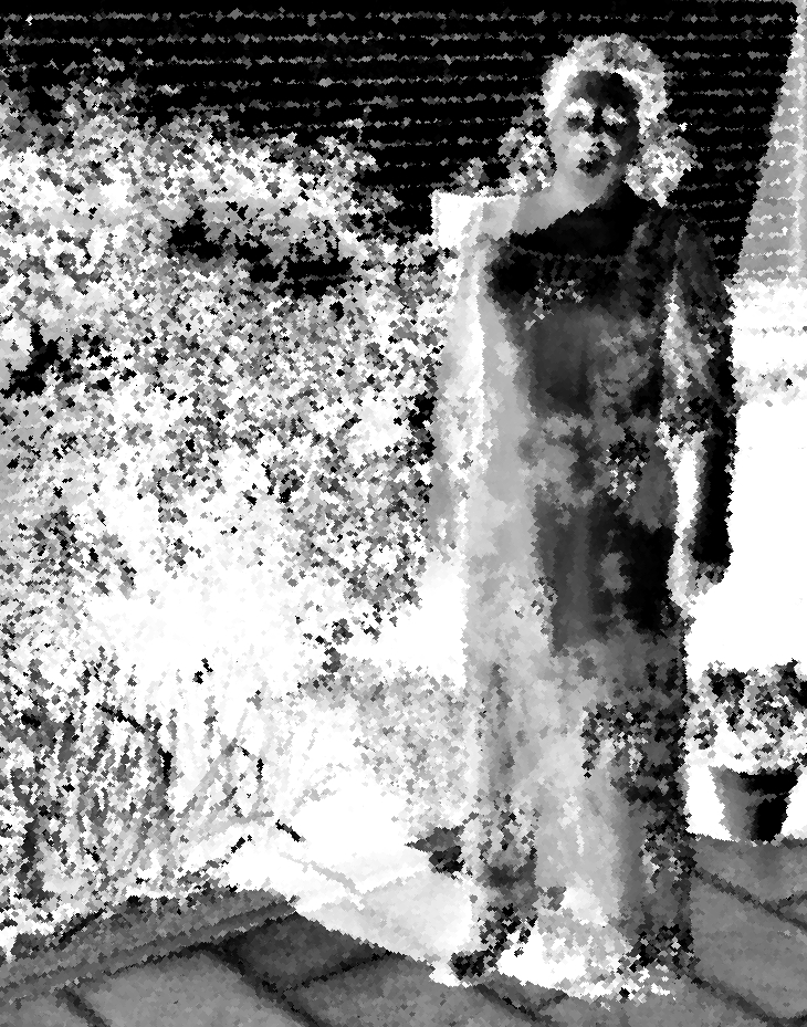 El peso de las sombras&nbsp;(1994)