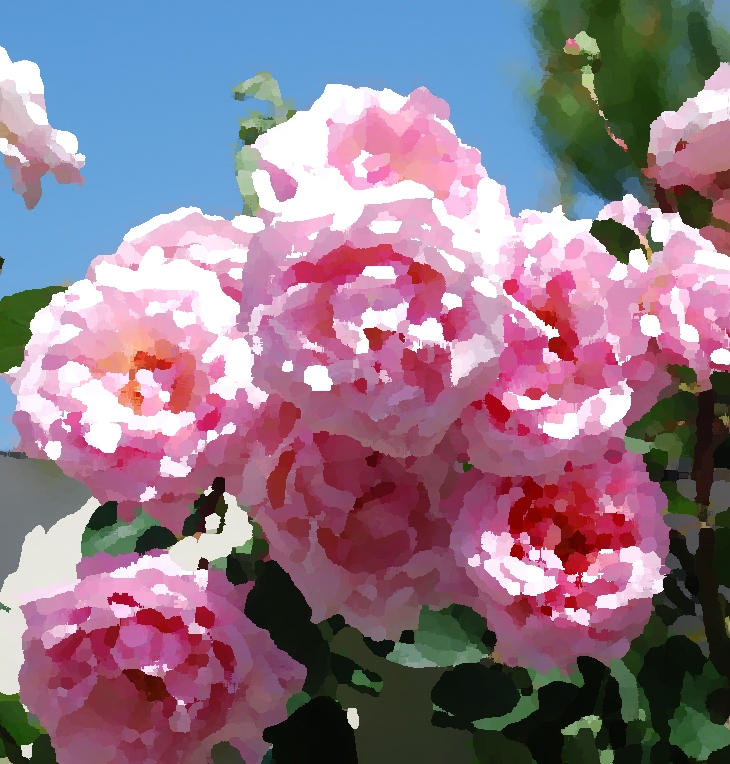 El tigre dormido (1967)