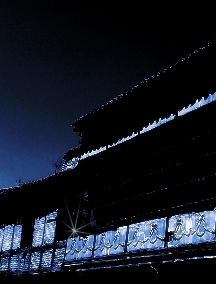 Un grito en la noche&nbsp;(1982)