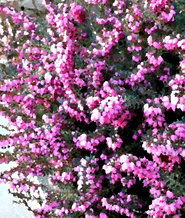 Si te quedas en Escocia (2015)