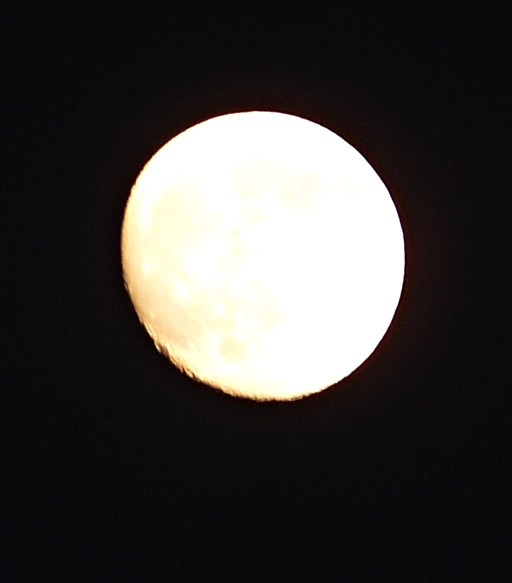 Viaje alrededor de la luna (1870)