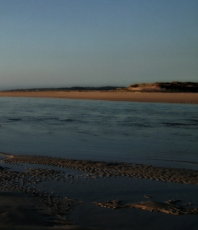 ¿Dónde están los niños?&nbsp;(1975)