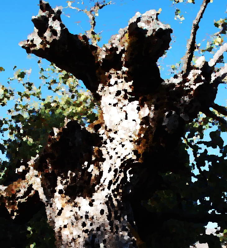 Luis de Góngora (1561-1627)