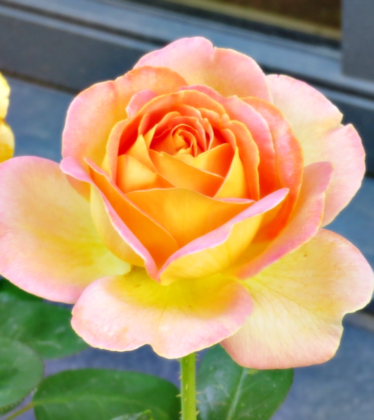 Lucía en Londres&nbsp;(1927)