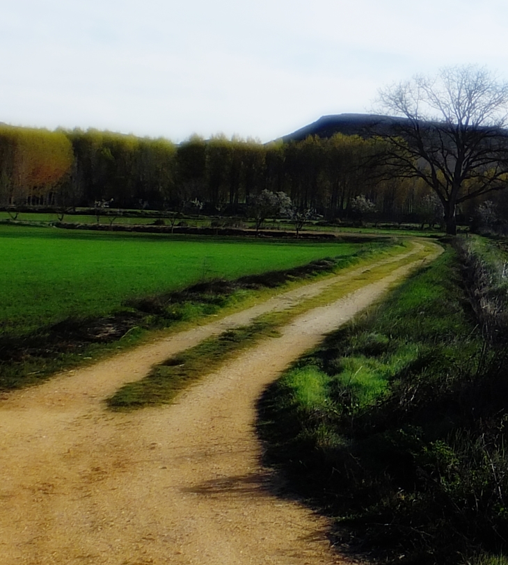 La posadera de Ivy Hill&nbsp;(2016)