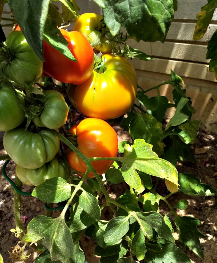 20210729 ¡Los primeros! A catar