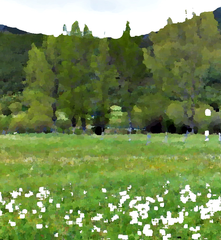 Diane Setterfield (1964)