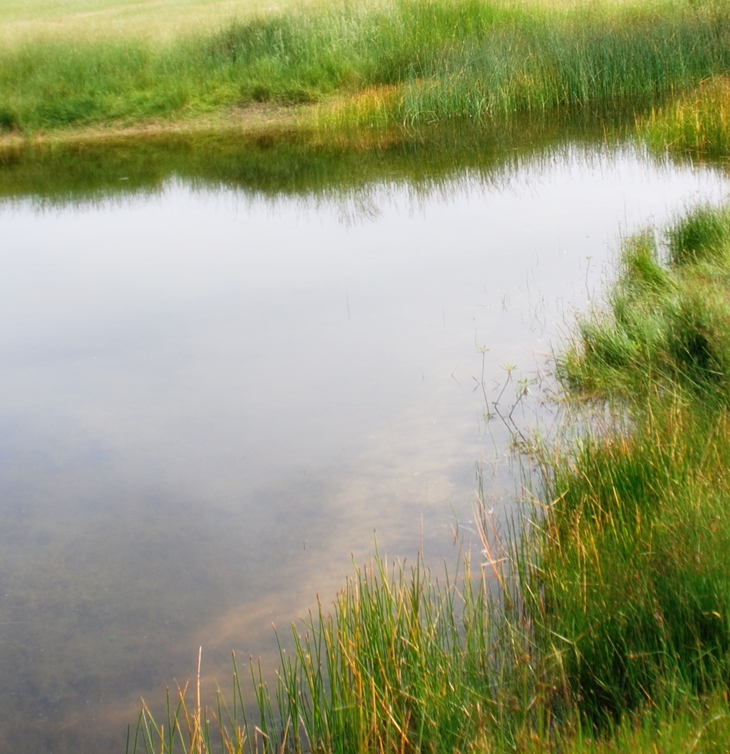 El país del agua&nbsp;(1983)