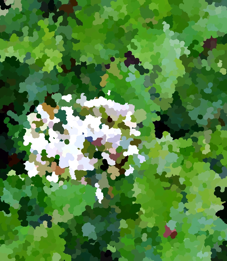 La pasión turca&nbsp;(1993)