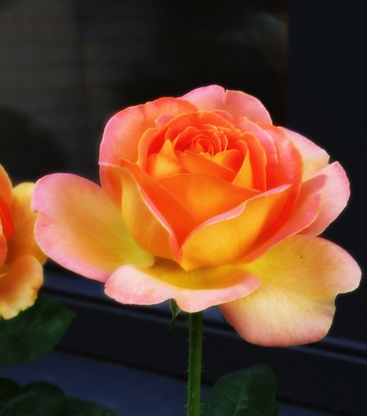 ¿Quién te lo ha contado?&nbsp;(2004)