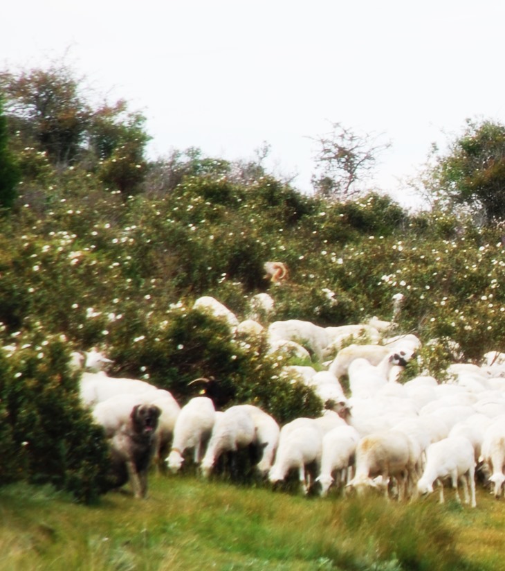 Las trampas del afecto&nbsp;(2014)