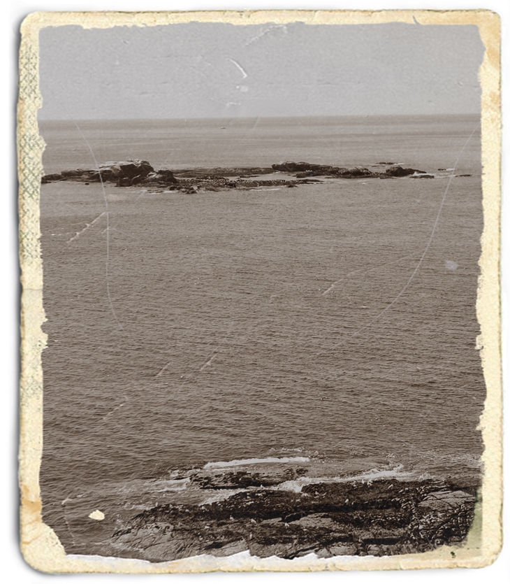 Los hijos del capitán Grant&nbsp;(1867)