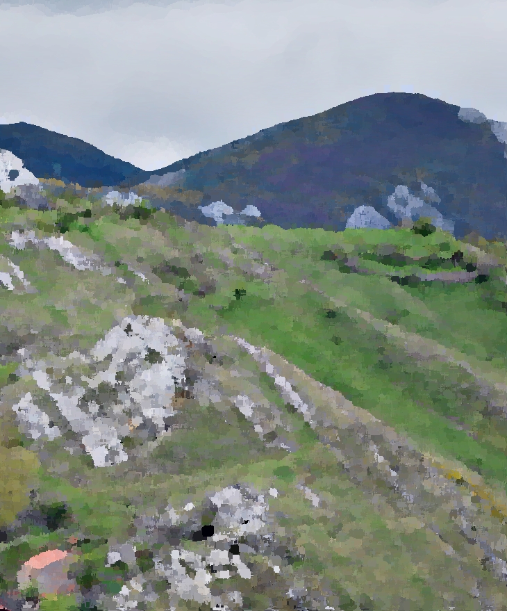 Josefina Aldecoa (1926-2011)