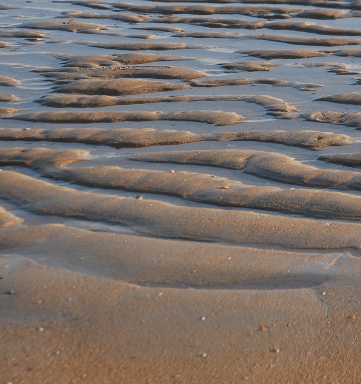 El mal de Corcira&nbsp;(2020)