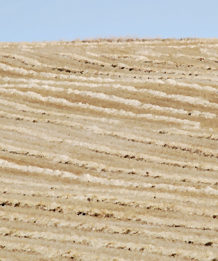 Robin Chapman (1933-2020)