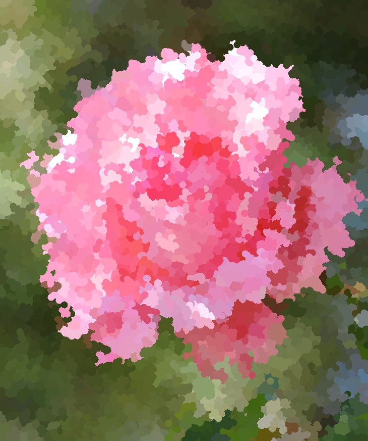 Tomillo silvestre (1978)