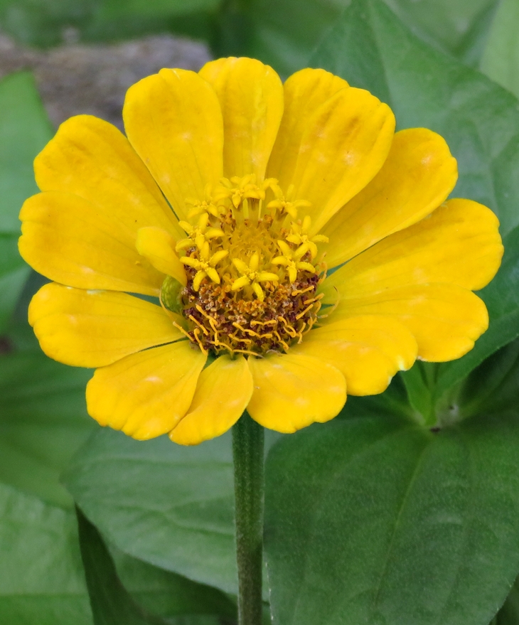 20210909 Hacia el fin del verano