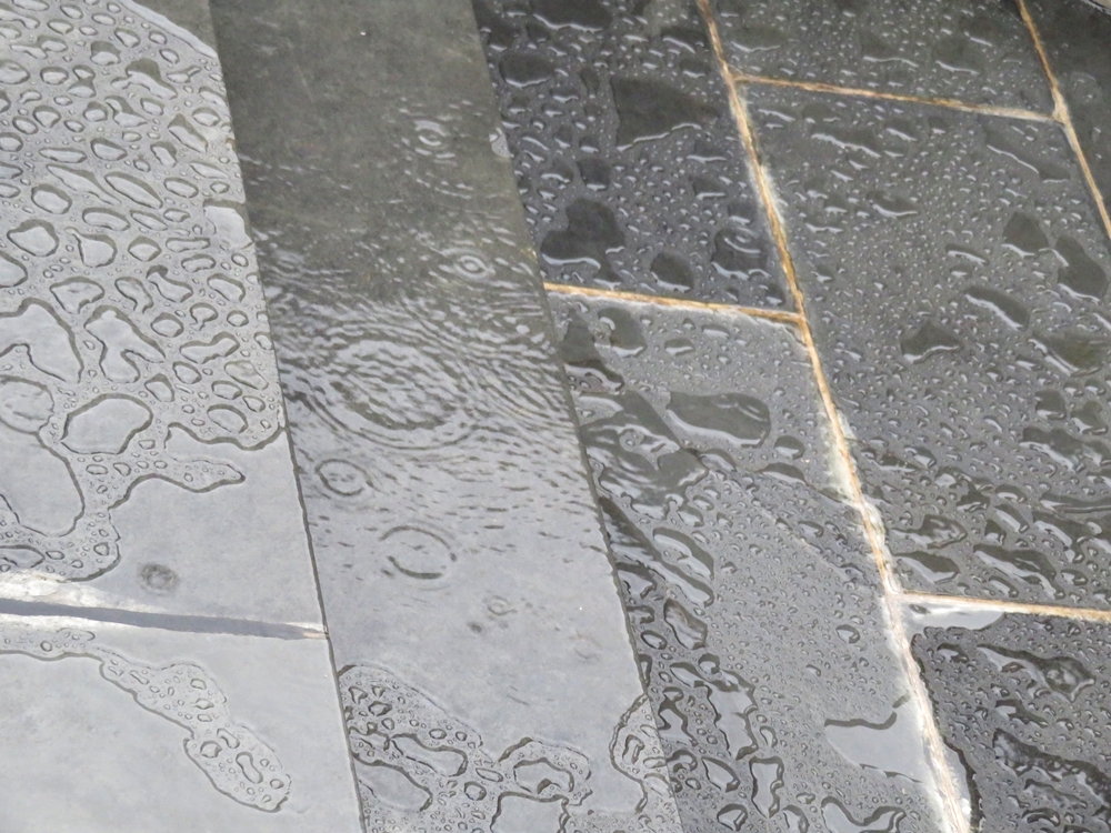 Lluvia, al fin (20210914)