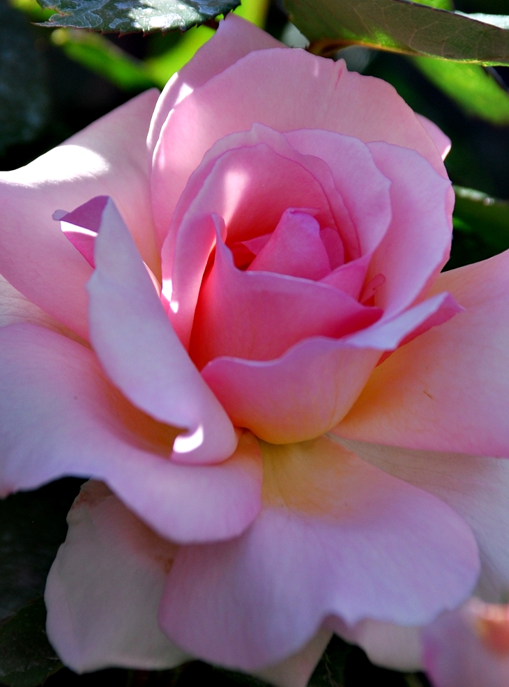 Annie Darling (1970?)