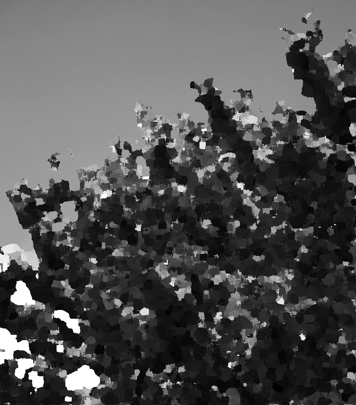 La buena suerte (2021)