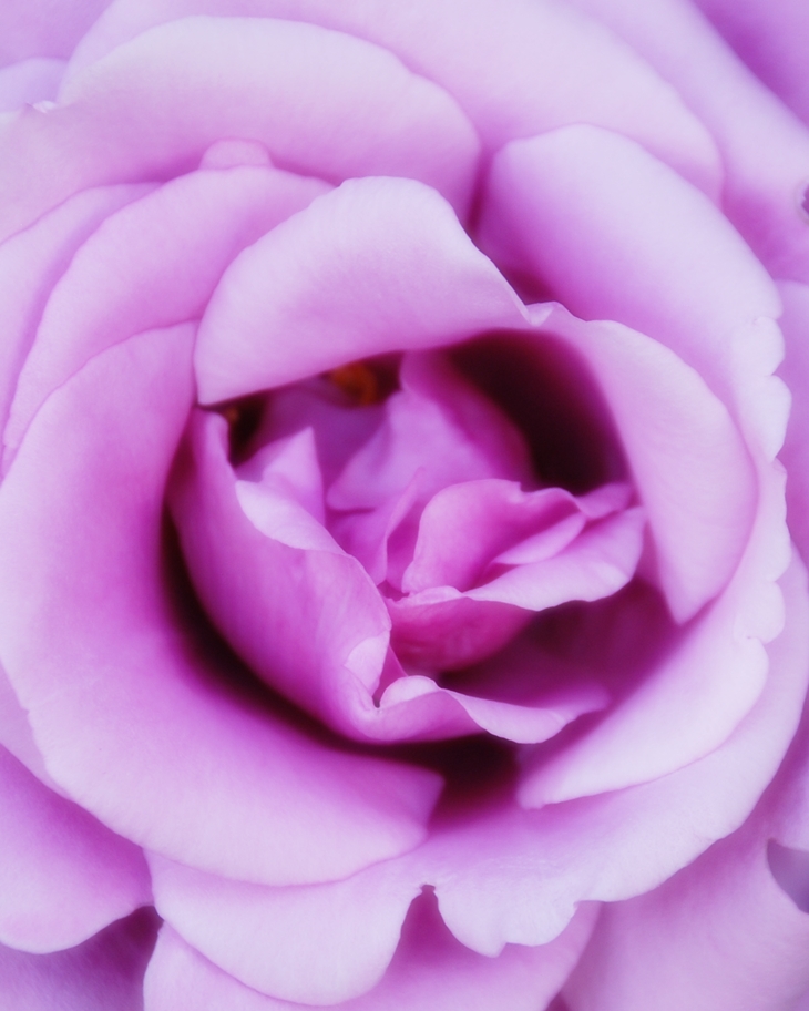 Kenizé Mourad (1939)