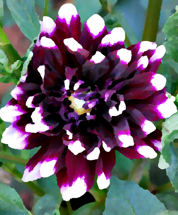 Lady Felicity y el canalla (2018)