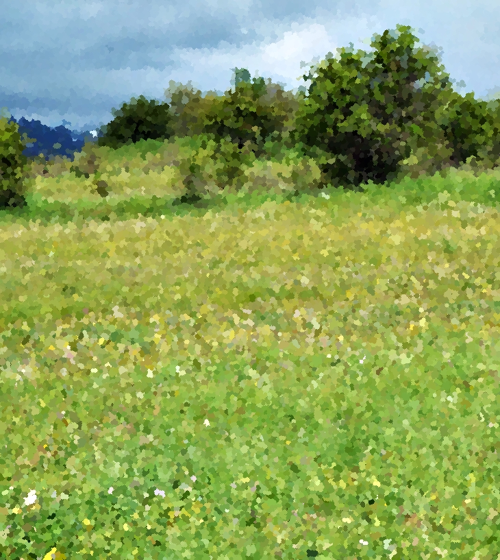 Kathryn Taylor (1980?)