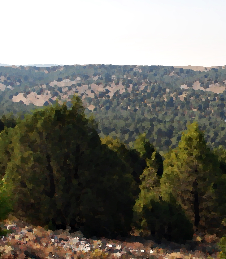 El barón rampante&nbsp;(1957)