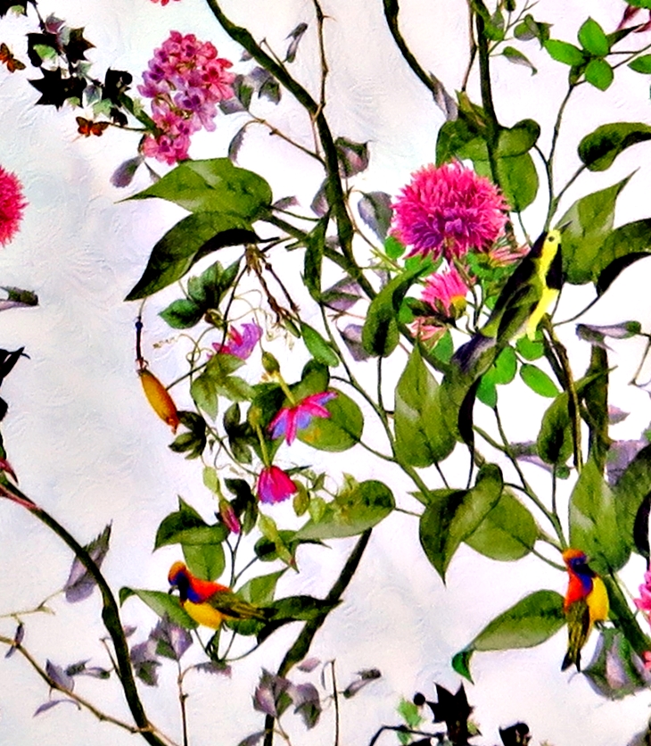 Cancionero tradicional (Siglos XV, XVI y XVII)