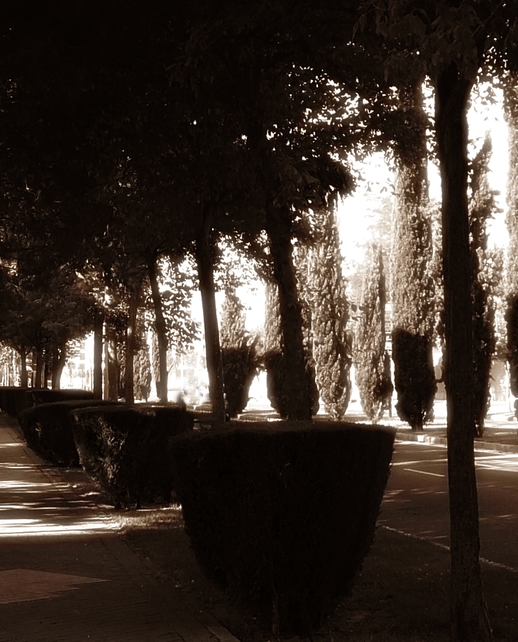 Un impulso criminal (1963)