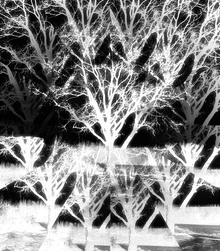 Truman Capote (1924-1984)