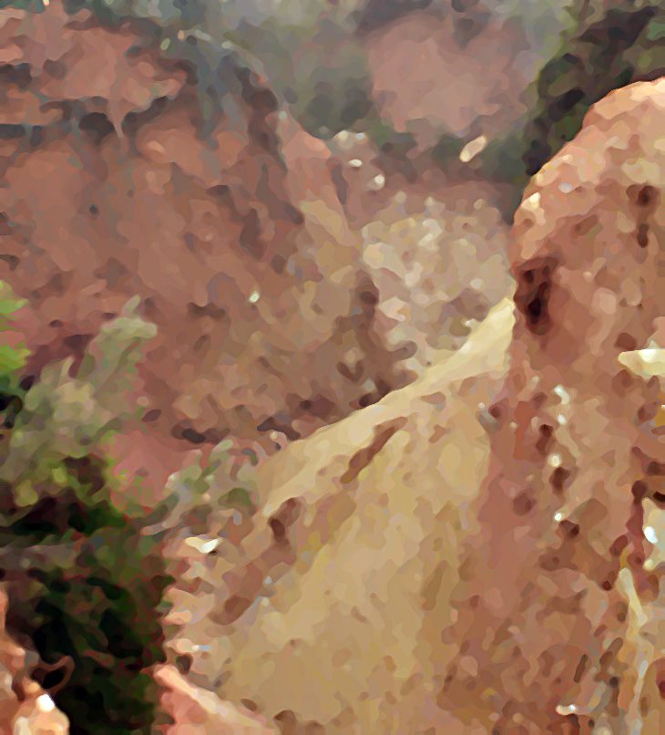 Rabos de lagartija&nbsp;(2000)